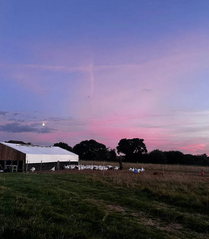 The farm at dusk